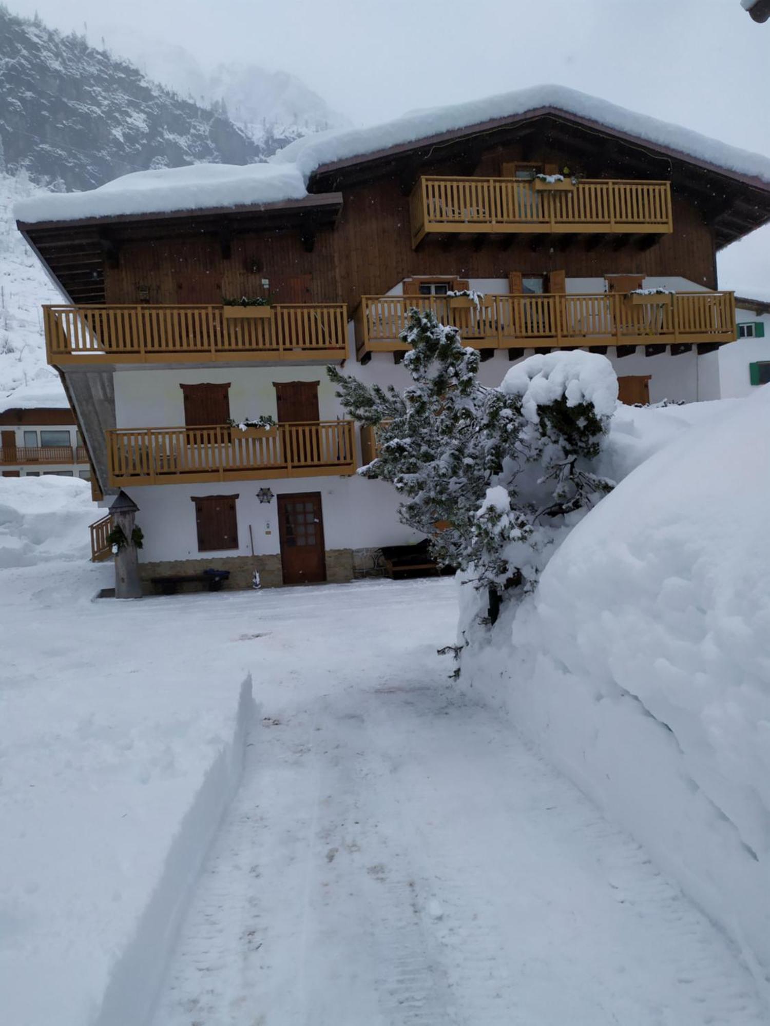 Residence Marmolada Rocca Pietore Eksteriør billede